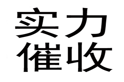 律师助力孙某赢得向某等人民间借贷案胜诉